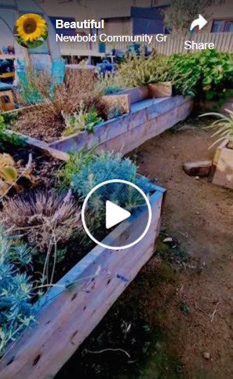 beautiful video of the garden