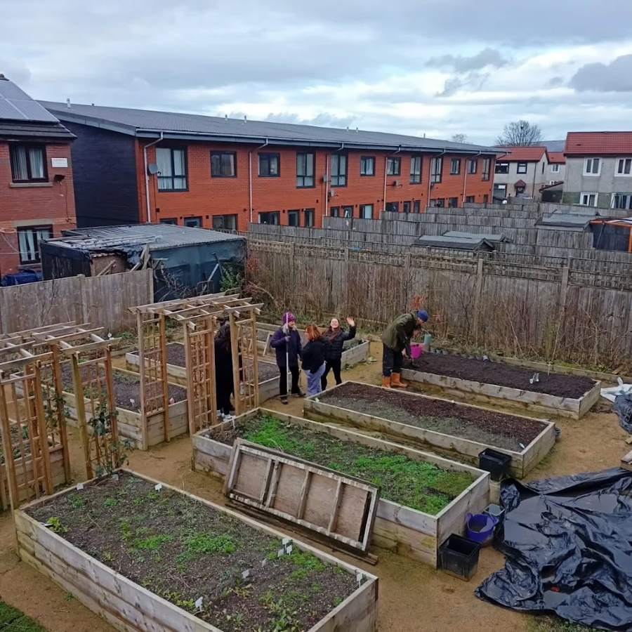 click to see larger image Busy day at the garden