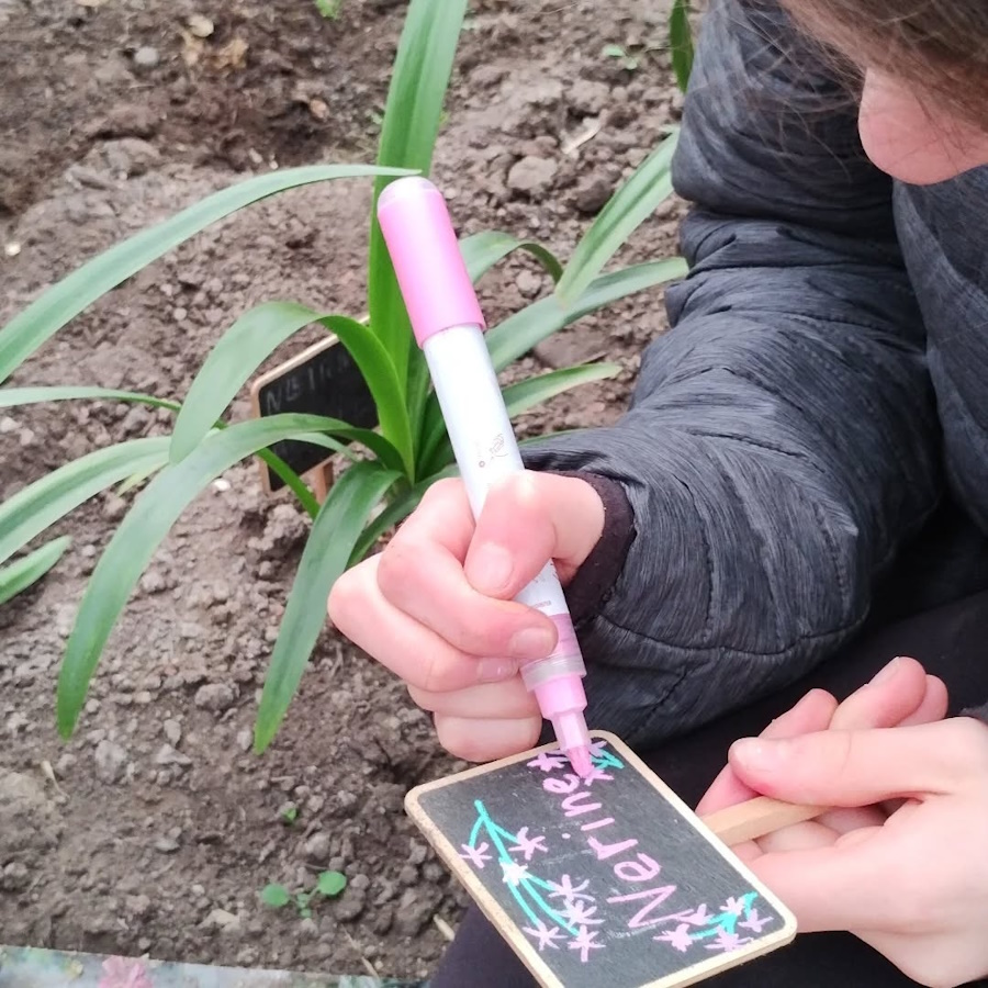 click to see larger image cleared out the polytunnel