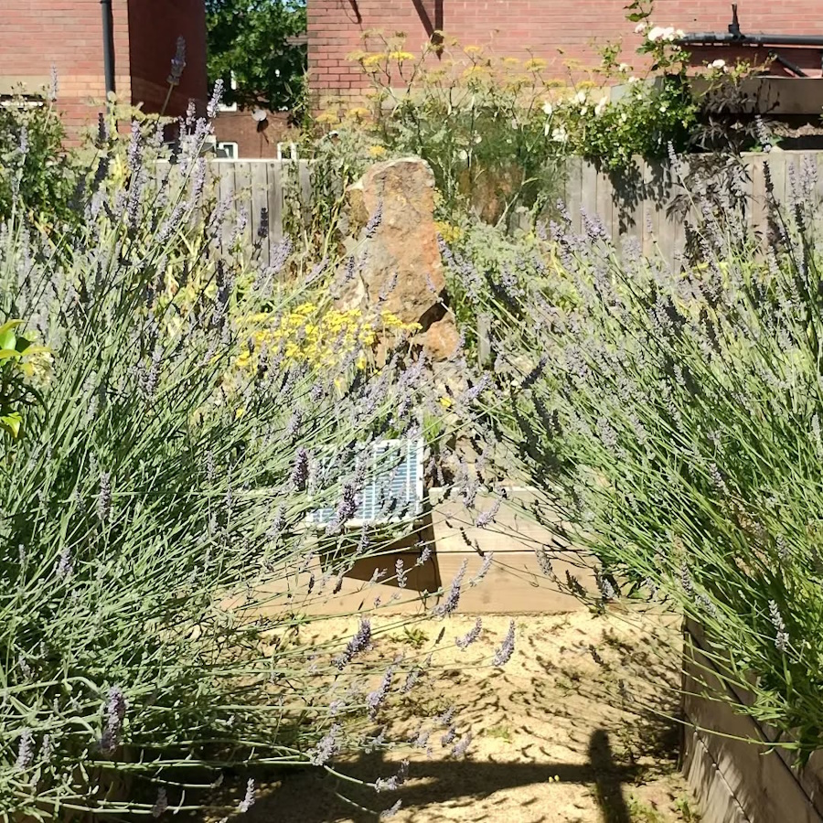 click to see more images Everything is growing in the Community Garden.