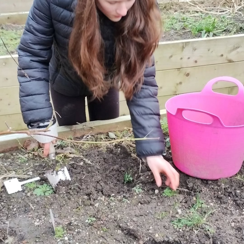 click to see larger image great to welcome new volunteers