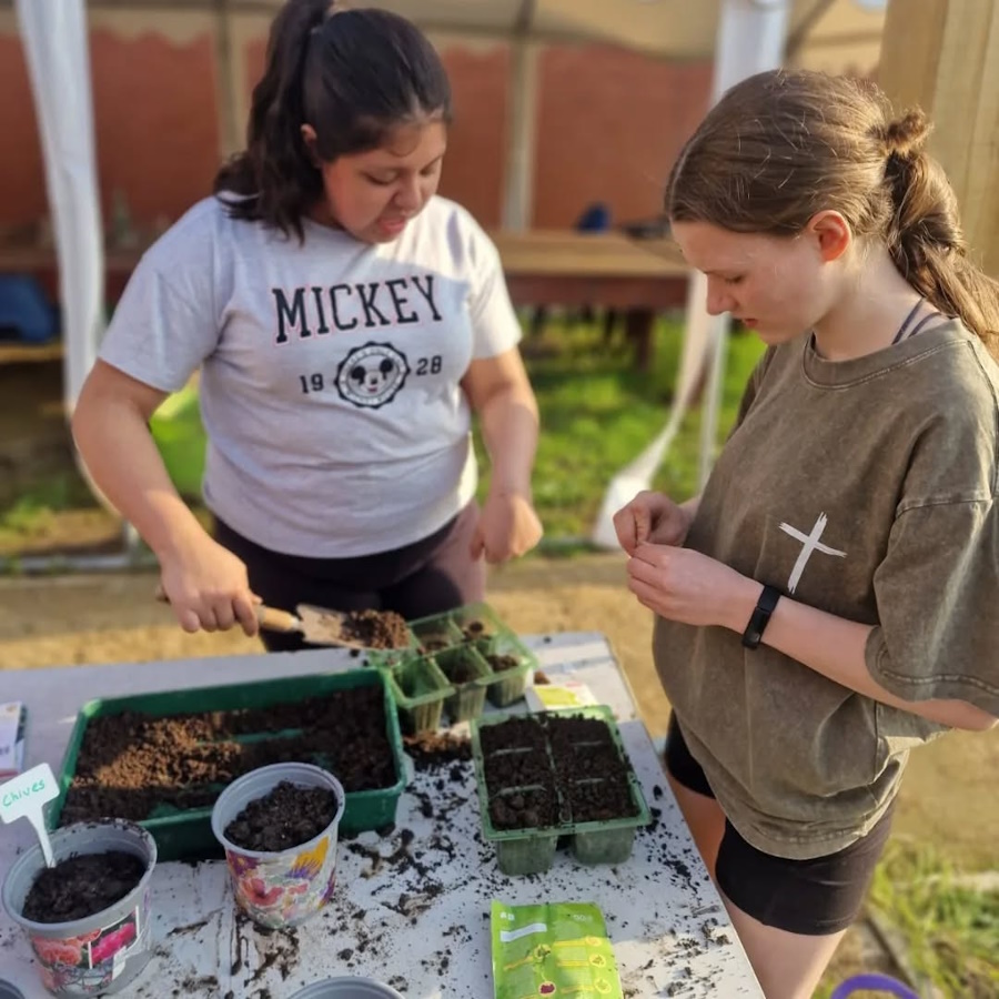 click to see larger image Herbs, Tomatoes, Peas, Beans and Potatoes